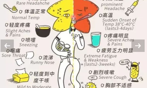碧卜中药图片网- 碧碧卜卜的意思知识,分享碧卜图片香料