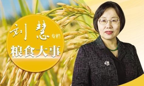 碧碧卜卜的意思-碧卜中药图片网- 碧碧卜卜的意思知识,分享碧卜图片香料